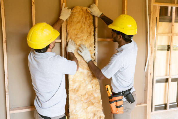 Professional Insulation Installation & Removal in Fort Lee, VA